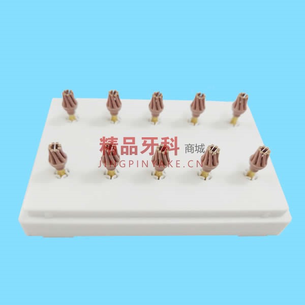 德国EVE 硅树脂抛光磨头粉色DCP-OFm 6175(10个/盒) 德国EVE 硅树脂抛光磨头粉色DCP-OFm 6175(10个/盒)
