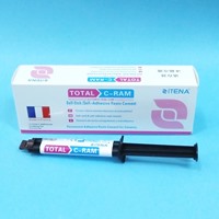 伊蒂娜 双重固化树脂水门汀