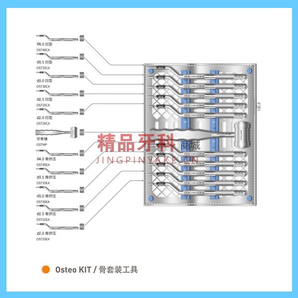奥齿泰 骨挤压器套装Osteo Kit(OSTK) 奥齿泰 骨挤压器套装Osteo Kit(OSTK)