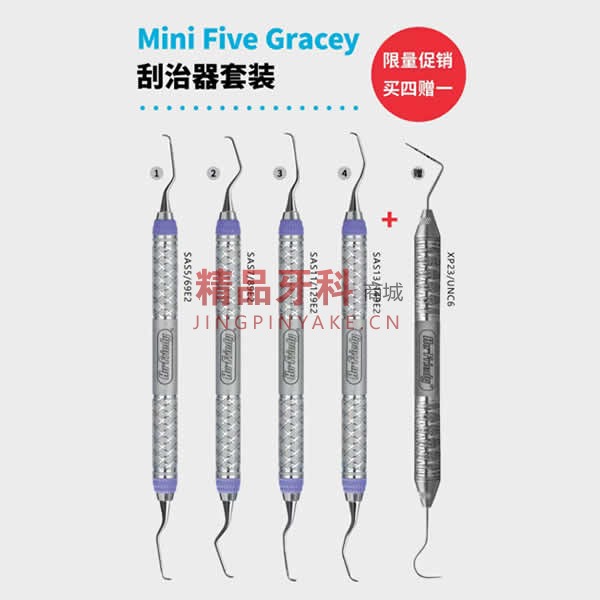 豪孚迪 Mini Five Gracey 刮治器套装