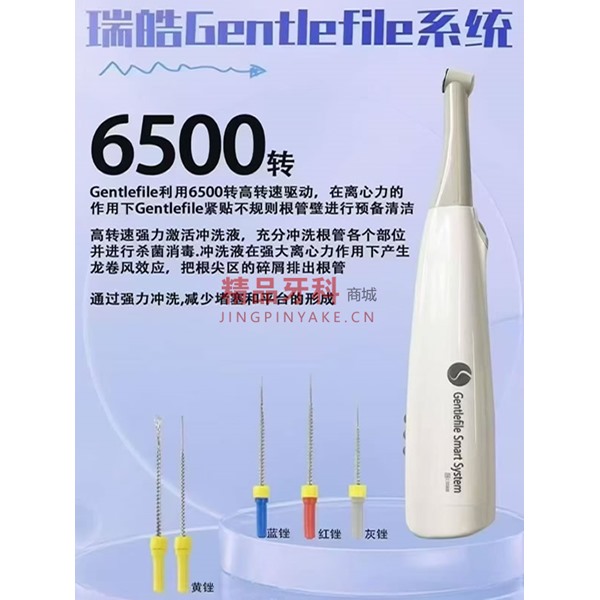 瑞皓 清洁备牙锉马达套装【马达+20支锉】