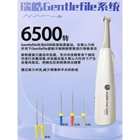 瑞皓 清洁备牙锉马达套装【马达+20支锉】