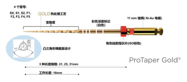 登士柏Dentsply Protaper Gold 机用镍钛根管锉1.jpg