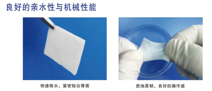 吉特瑞2.jpg
