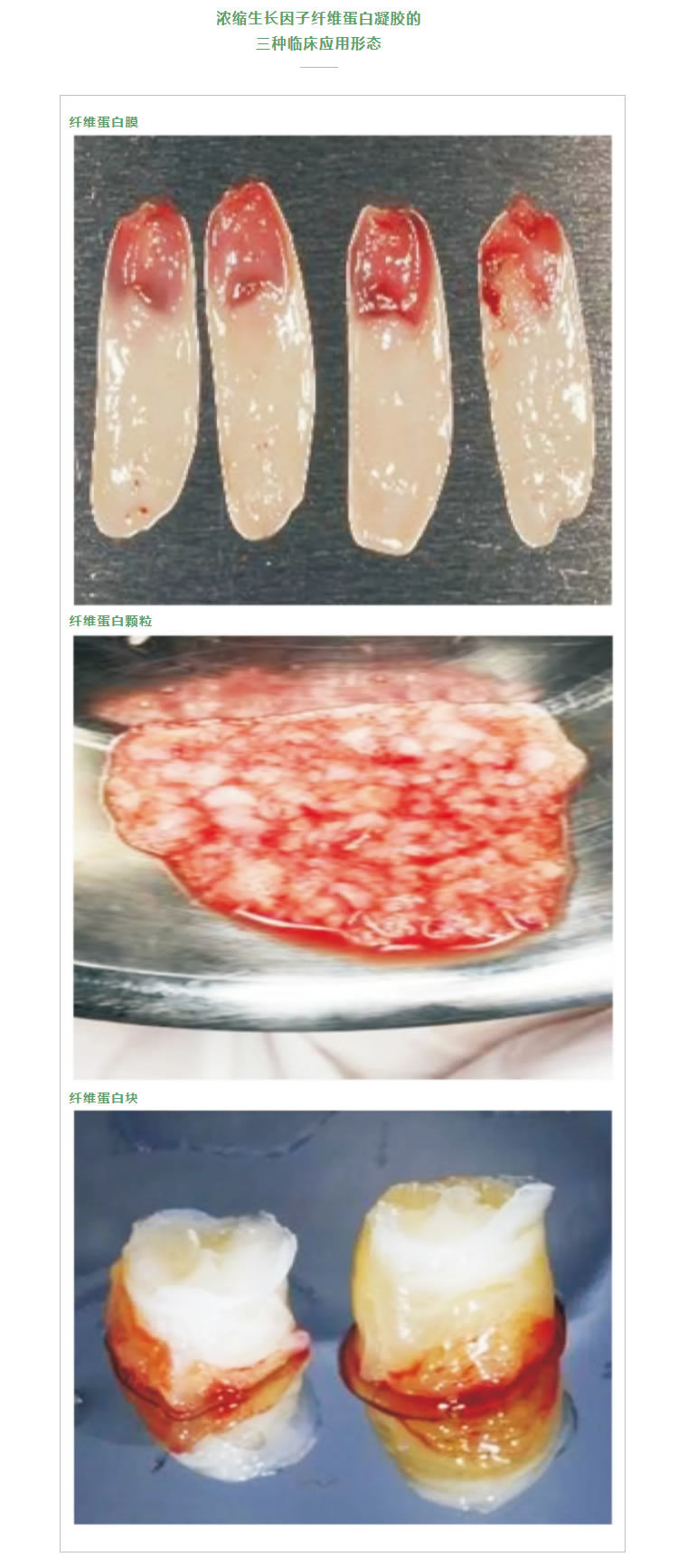 湘启 TD4E口腔专用离心机2_r2_c1.jpg 湘启 TD4E口腔专用离心机2_r2_c1.jpg