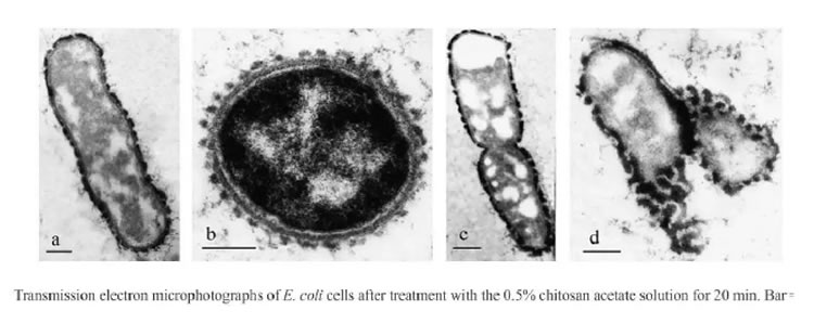 博益优 术益纱【可吸收止血生物膜】1_r3_c1.jpg