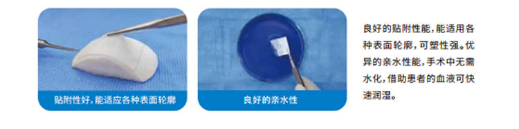 兰度 骨膜1_r7_c1.jpg 兰度 骨膜1_r7_c1.jpg