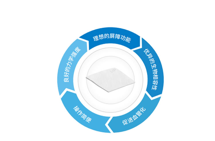 兰度 骨膜1_r2_c1.jpg 兰度 骨膜1_r2_c1.jpg