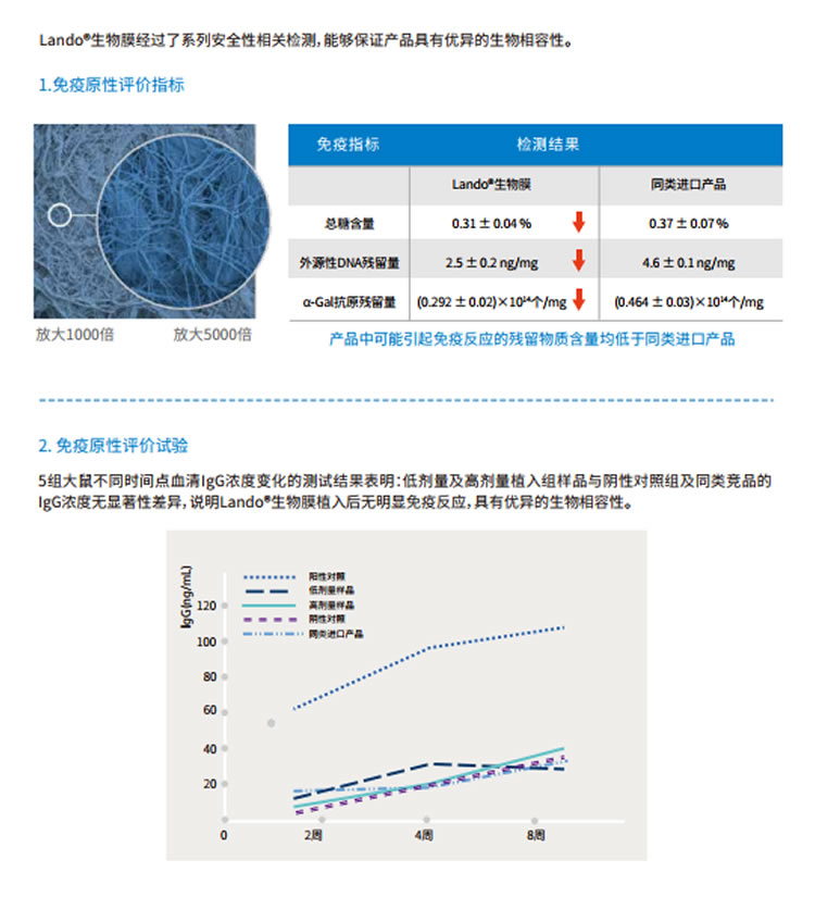 兰度 骨膜1_r4_c1.jpg 兰度 骨膜1_r4_c1.jpg