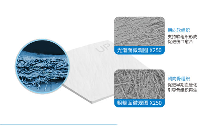 兰度 骨膜1_r1_c1.jpg 兰度 骨膜1_r1_c1.jpg