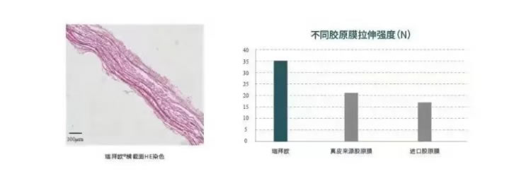 瑞拜欧 骨膜1_r5_c1.jpg 瑞拜欧 骨膜1_r5_c1.jpg
