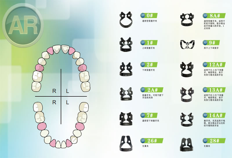ar 橡皮障2.jpg