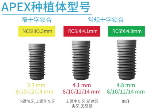 柯润玺APEX植体 -3.jpg