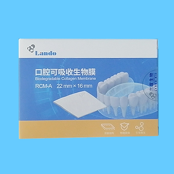 兰度 骨膜.jpg 兰度 骨膜.jpg