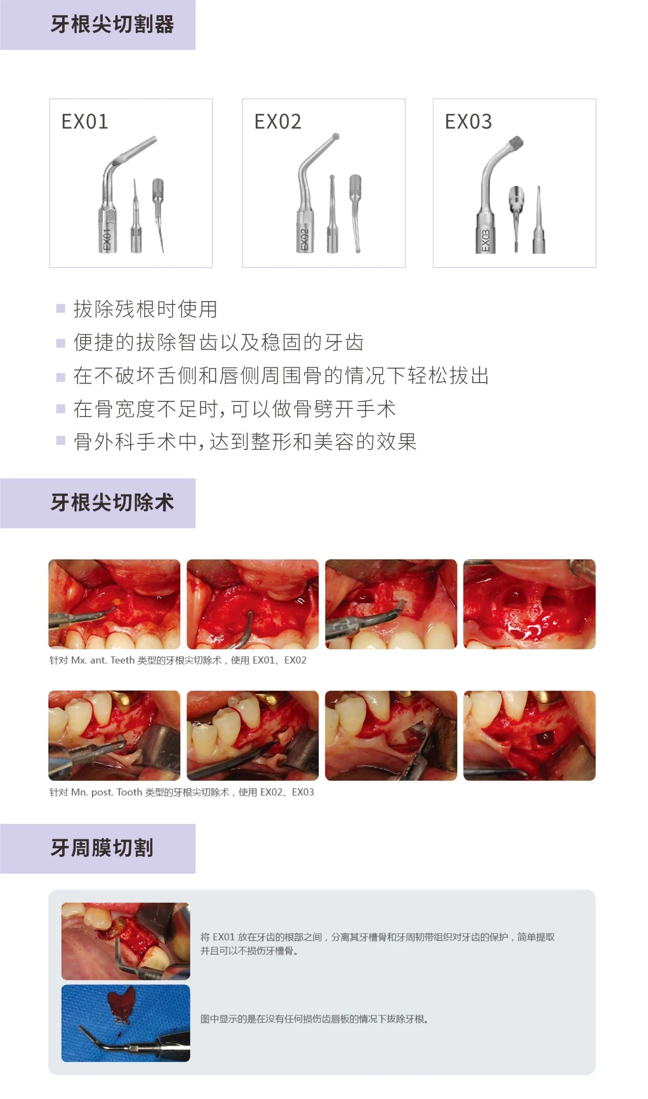 MINA 超声骨刀piezo master-19.jpg