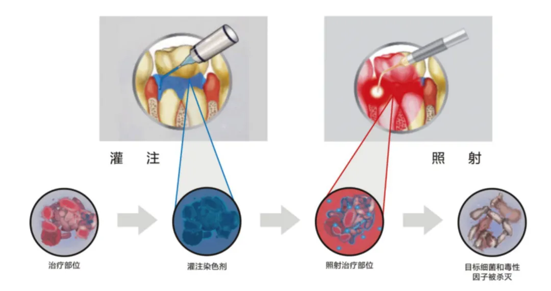 5f858ef0-9888-494b-86e5-3d8e96ba38a0.png 5f858ef0-9888-494b-86e5-3d8e96ba38a0.png