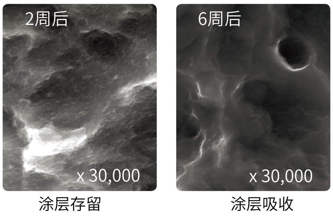 f5cb69afbd880e583d417ab3f29899d1.png