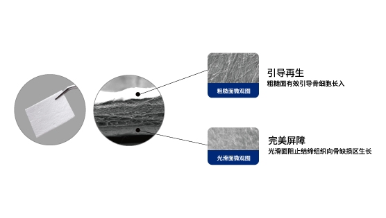 d771c7e97ef0d611ab1921a5b4db51f2.png