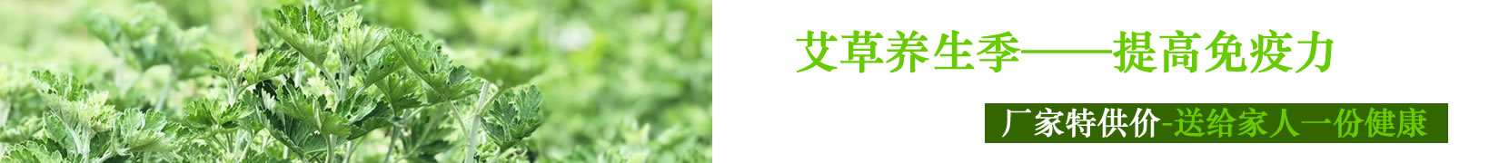 佰草荟-艾草