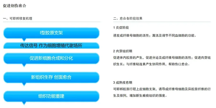 可即邦 医用胶原蛋白海绵1.webp 可即邦 医用胶原蛋白海绵1.webp