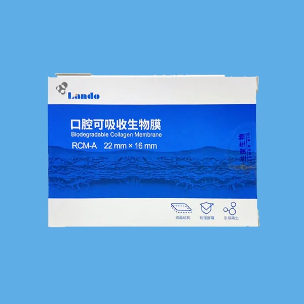 兰度 骨膜A型22x16mm