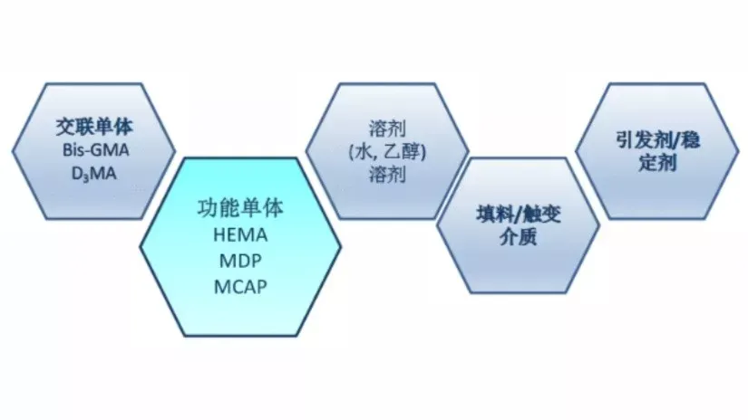 image.webp image.webp