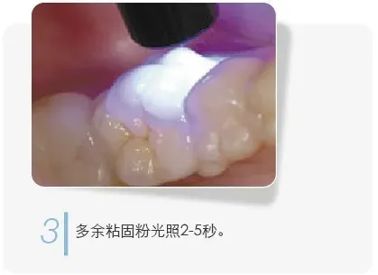 image.webp