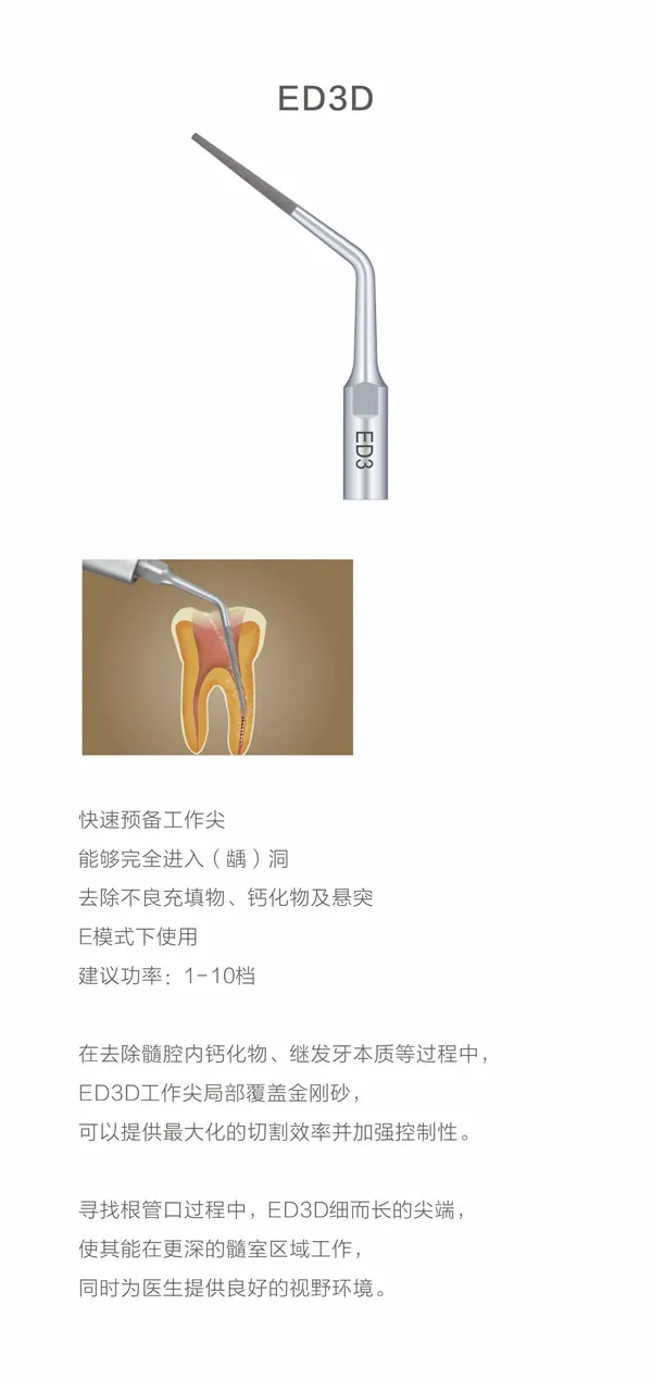 D600    4.webp