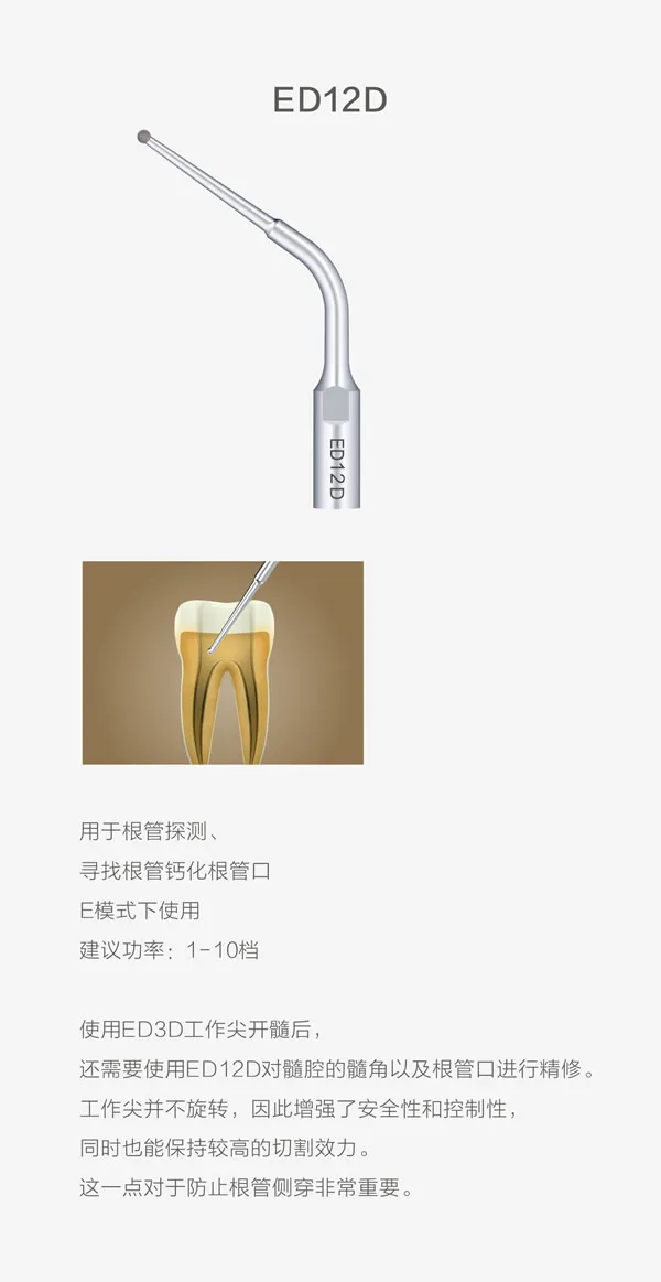 D600   5.webp