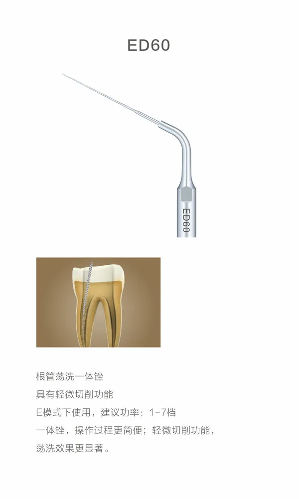 D600    8.webp