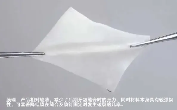 膜瑞2.webp