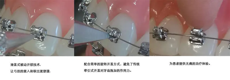 普特 五代C.webp 普特 五代C.webp
