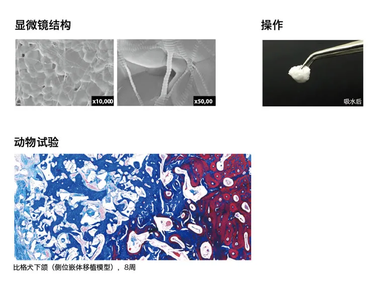 登腾骨胶原.webp 登腾骨胶原.webp