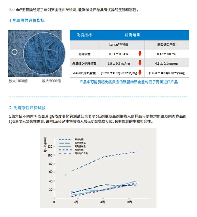 兰度 骨膜1_r4_c1.webp 兰度 骨膜1_r4_c1.webp