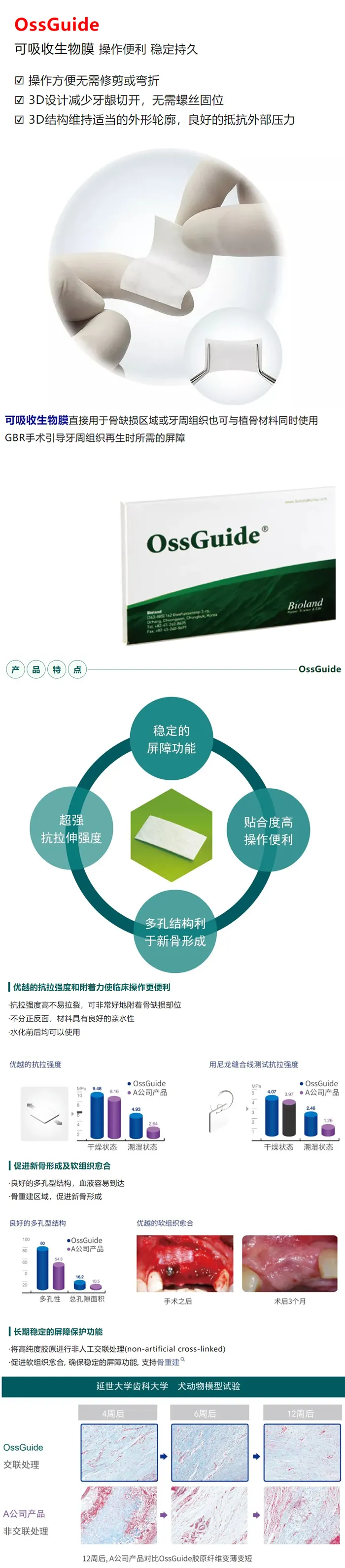 奥齿泰 可吸收生物膜1..webp