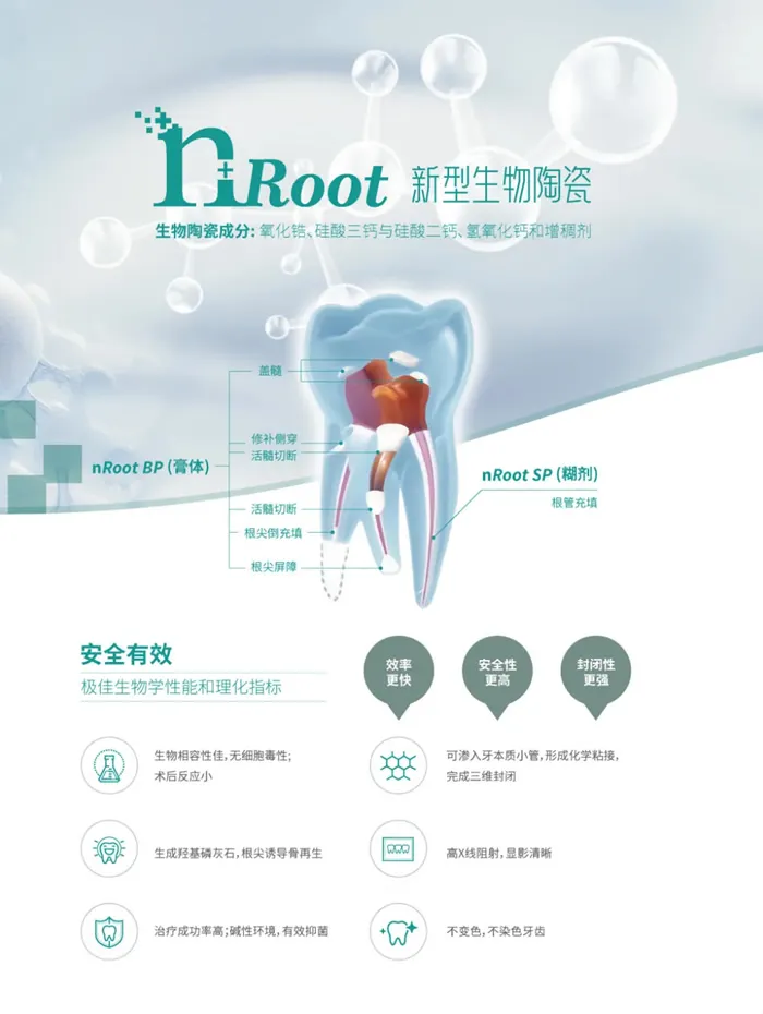 恩普诺  nRoot SP 生物陶瓷糊剂2g装2.webp