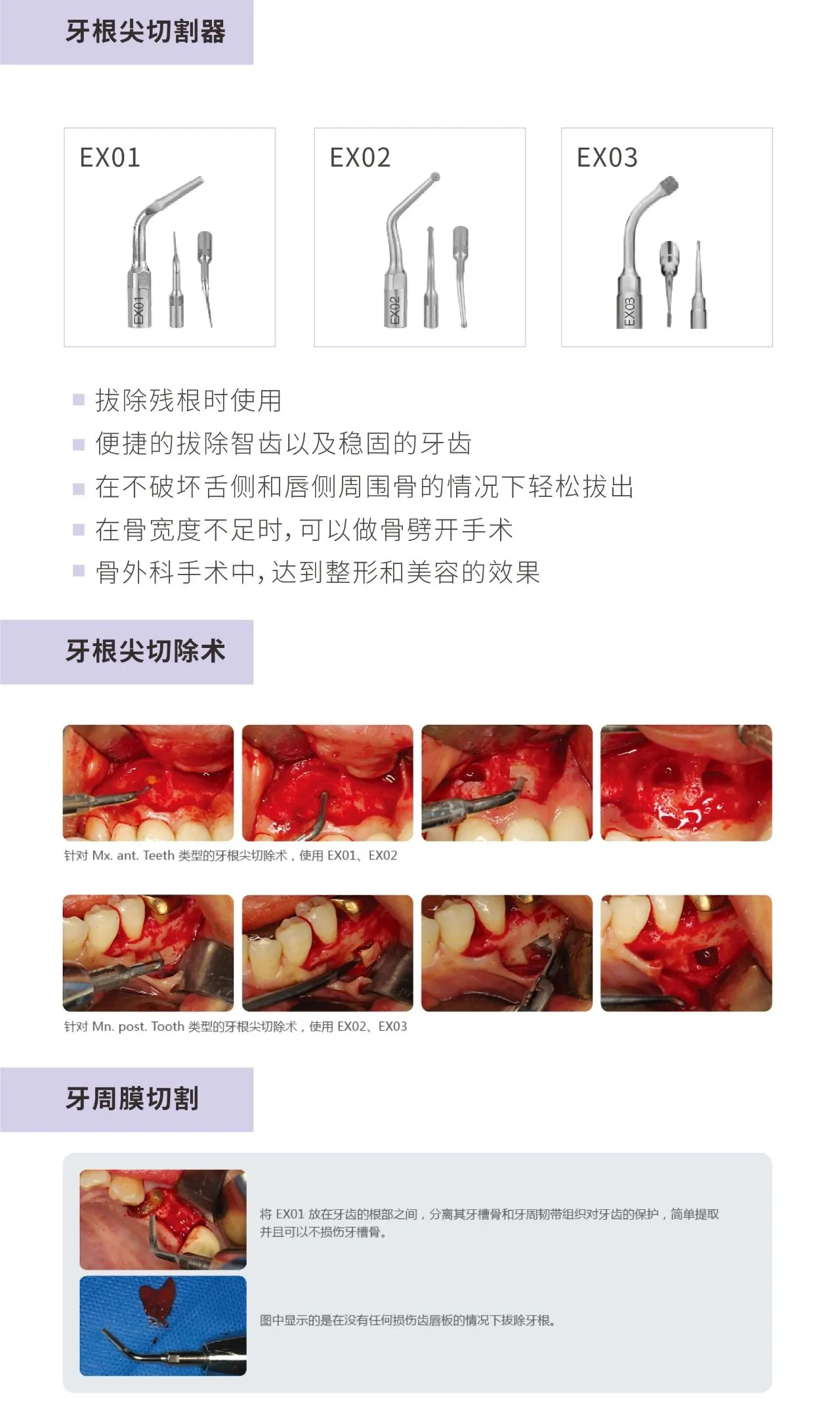 MINA 超声骨刀piezo master-19.webp