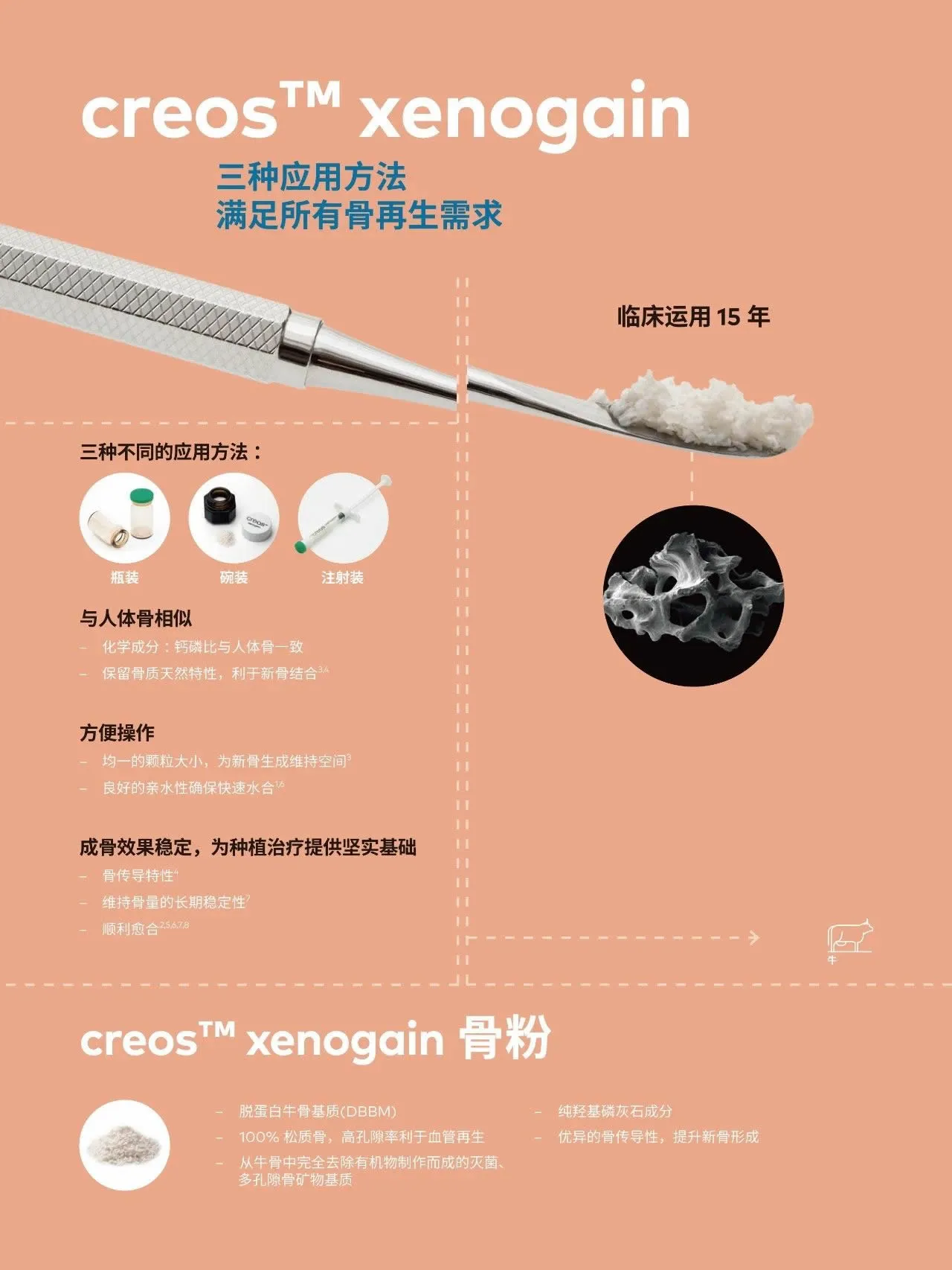 诺贝尔.webp