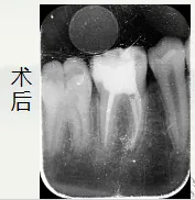 image.webp image.webp