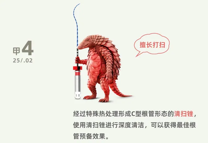 image.webp image.webp