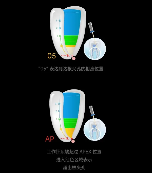 image.webp image.webp
