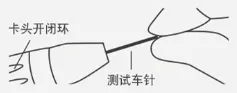 image.webp