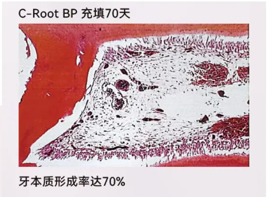 image.webp image.webp