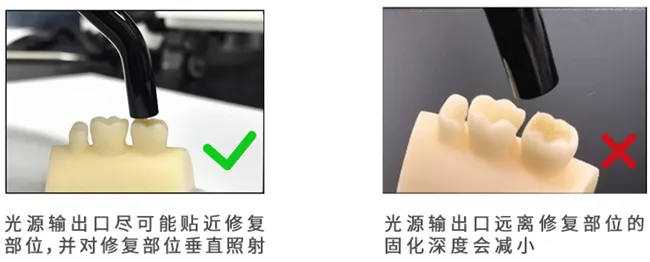 image.webp image.webp