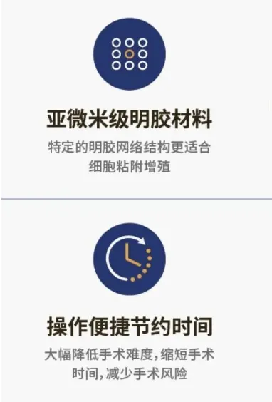 image.webp image.webp