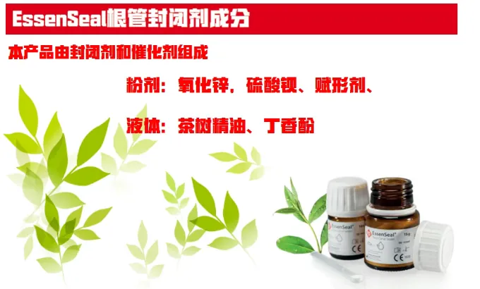 image.webp image.webp