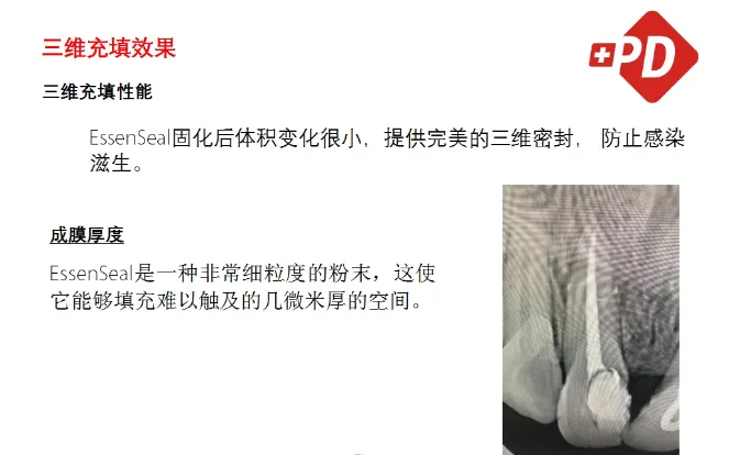 image.webp image.webp