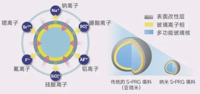 image.webp image.webp