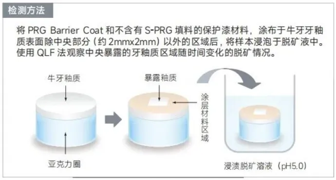 image.webp image.webp