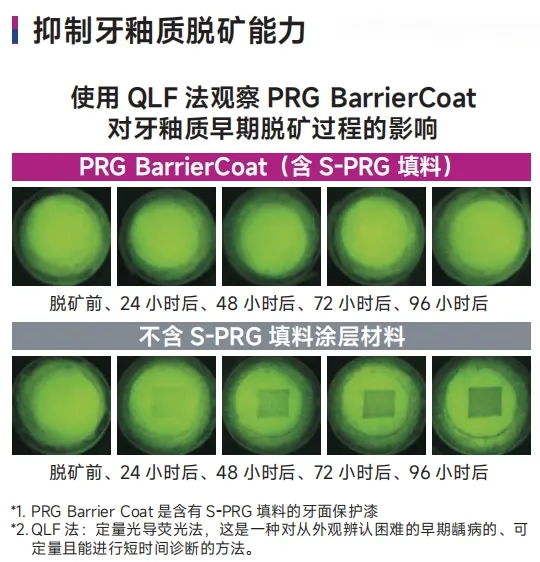 image.webp image.webp